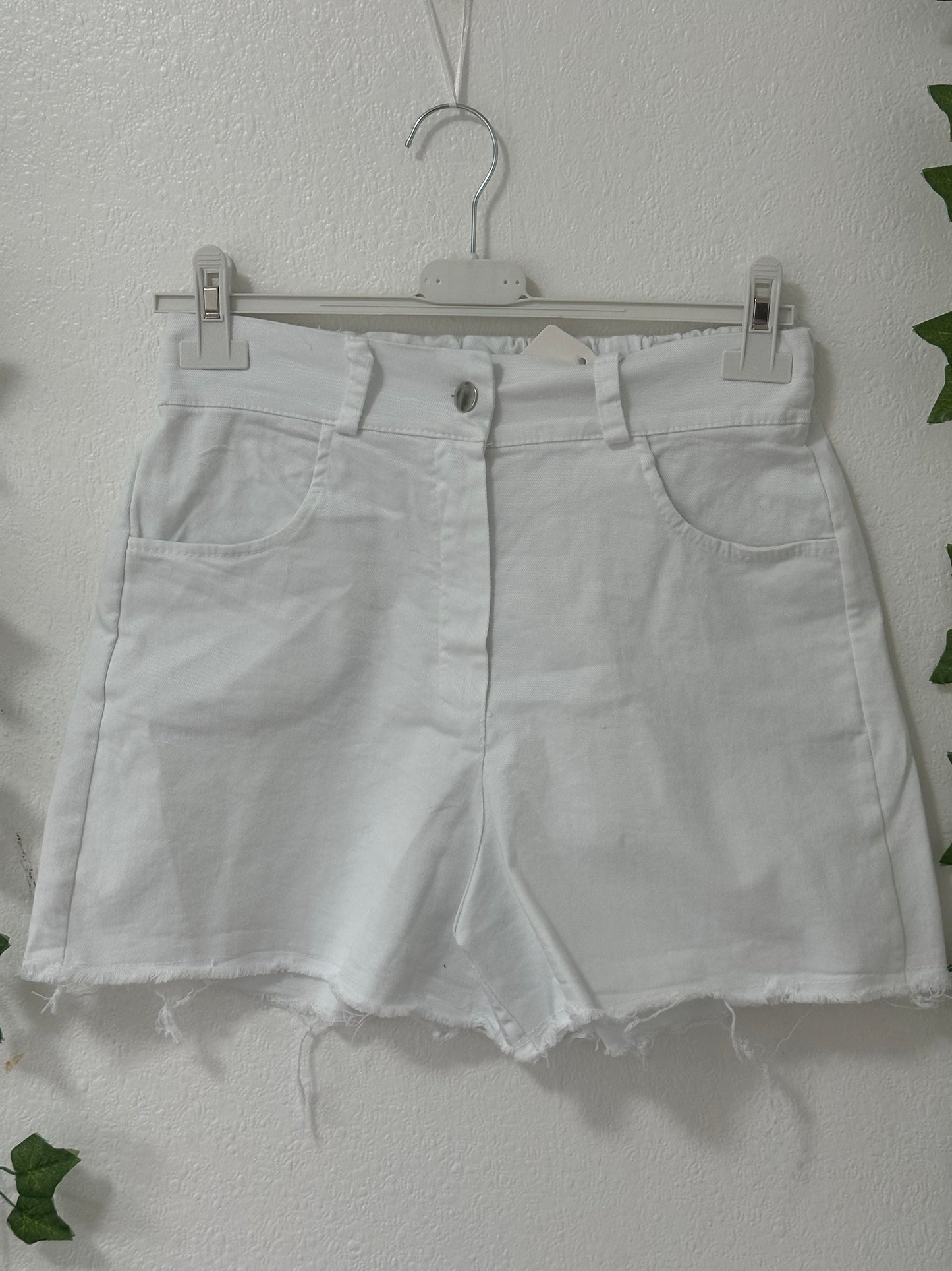 Damen -Shorts in versch.Farben